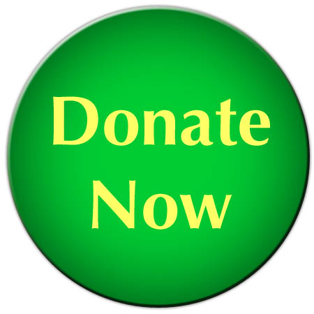 donate on behalf of someone for christmas