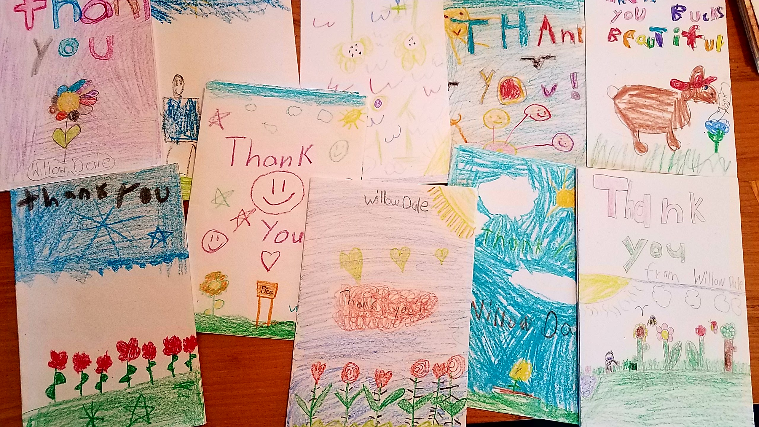 Children from Willow ale Elementary plant Daffodils. A selection of their thank you notes.