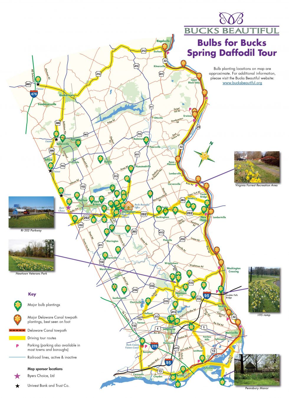 Daffodil Tour Bucks Beautiful