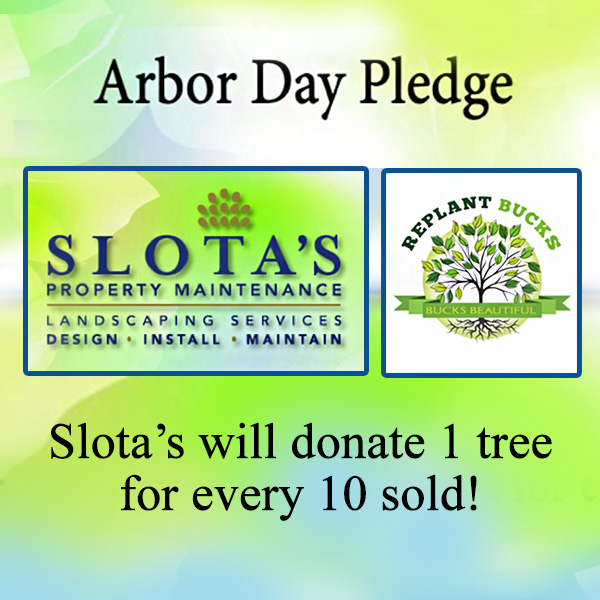 Slota'sTree2