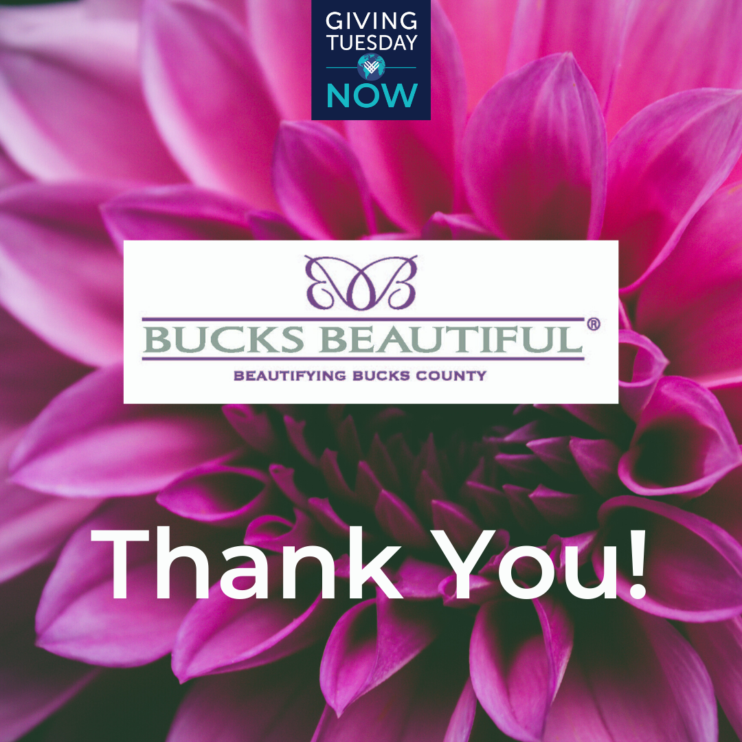 Copy of Thank you Instagram copy 3