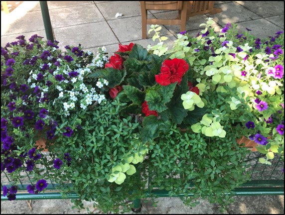 Planter Neshaminy Manor