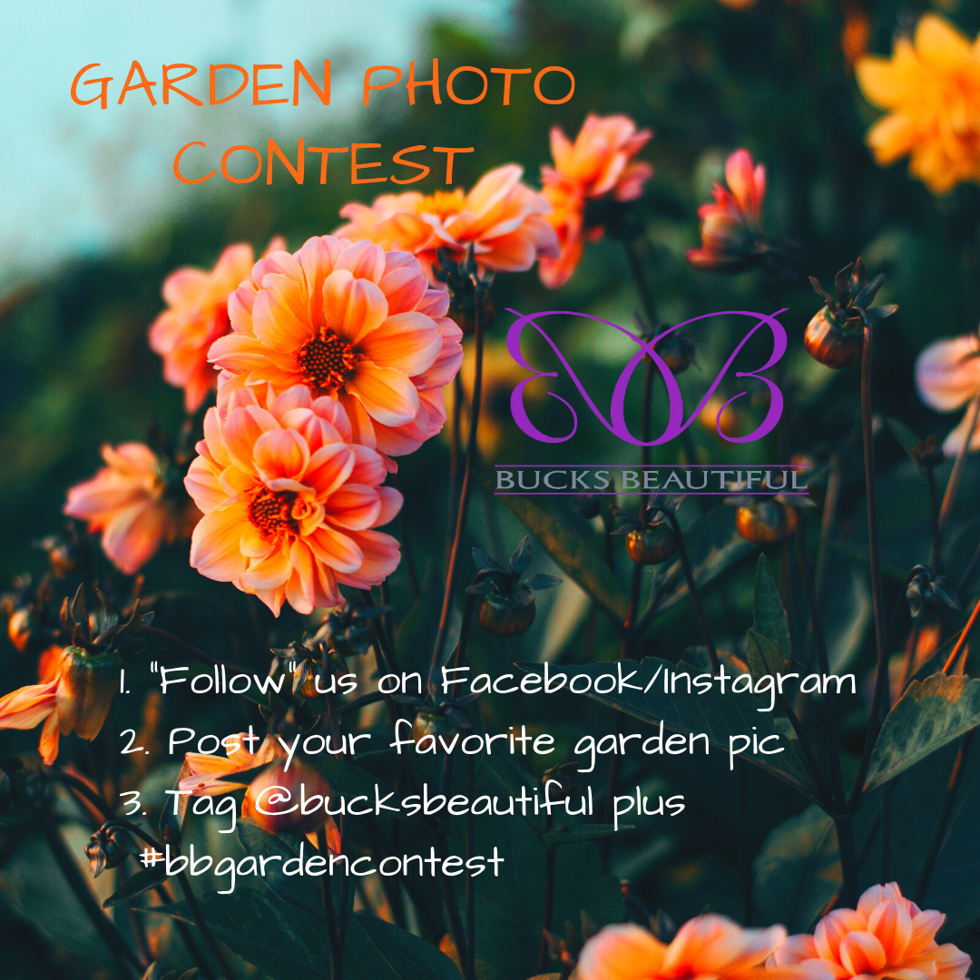 Insta Photo Garden Contest