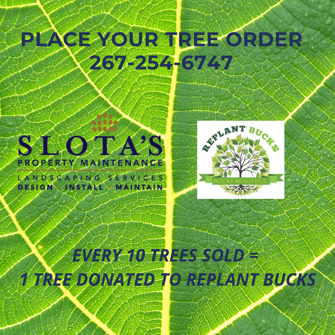 SlotasTreeOrder