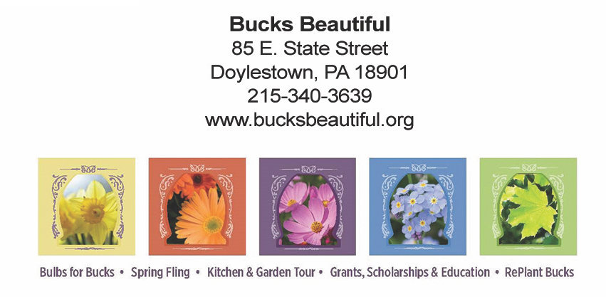 beautifying bucks footer