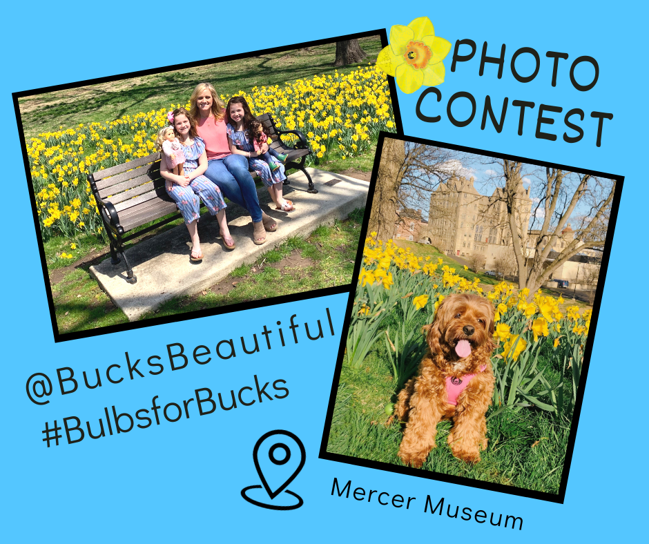 '21 Daffodil Photo Contest-Facebook