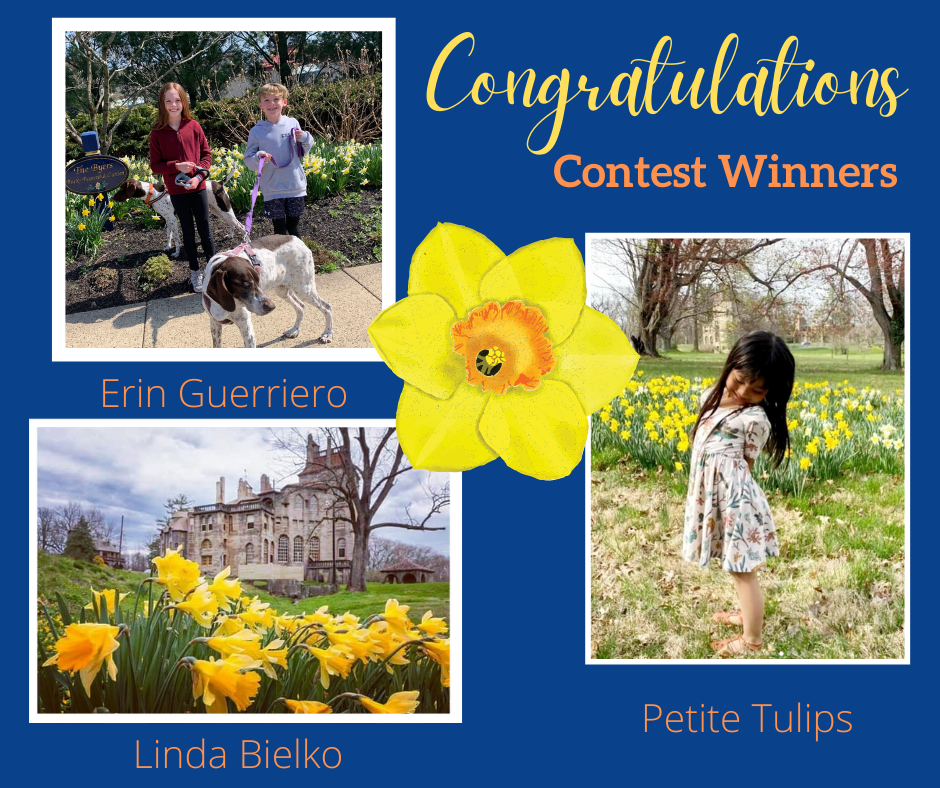 Photo Contest Winners 2021 FB