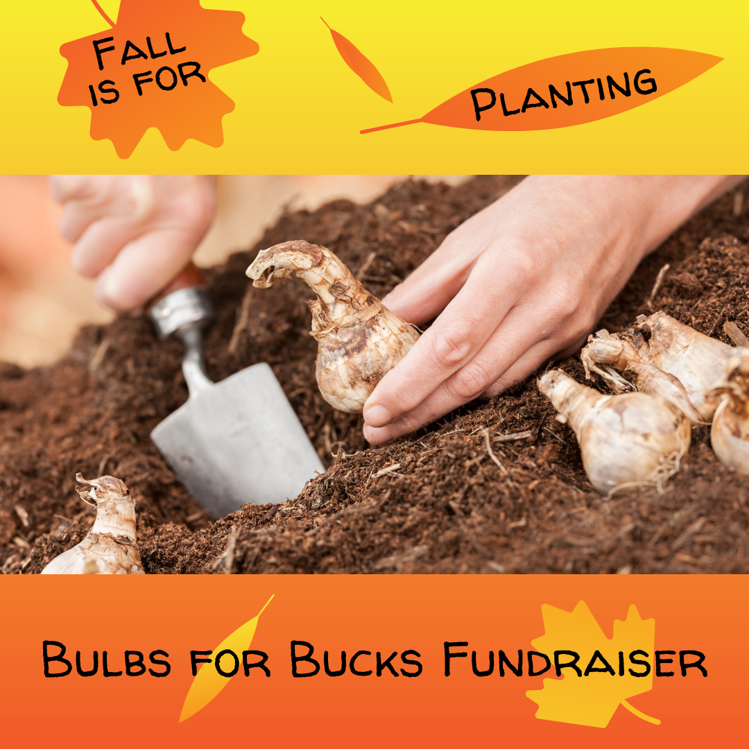 Fall for Planting